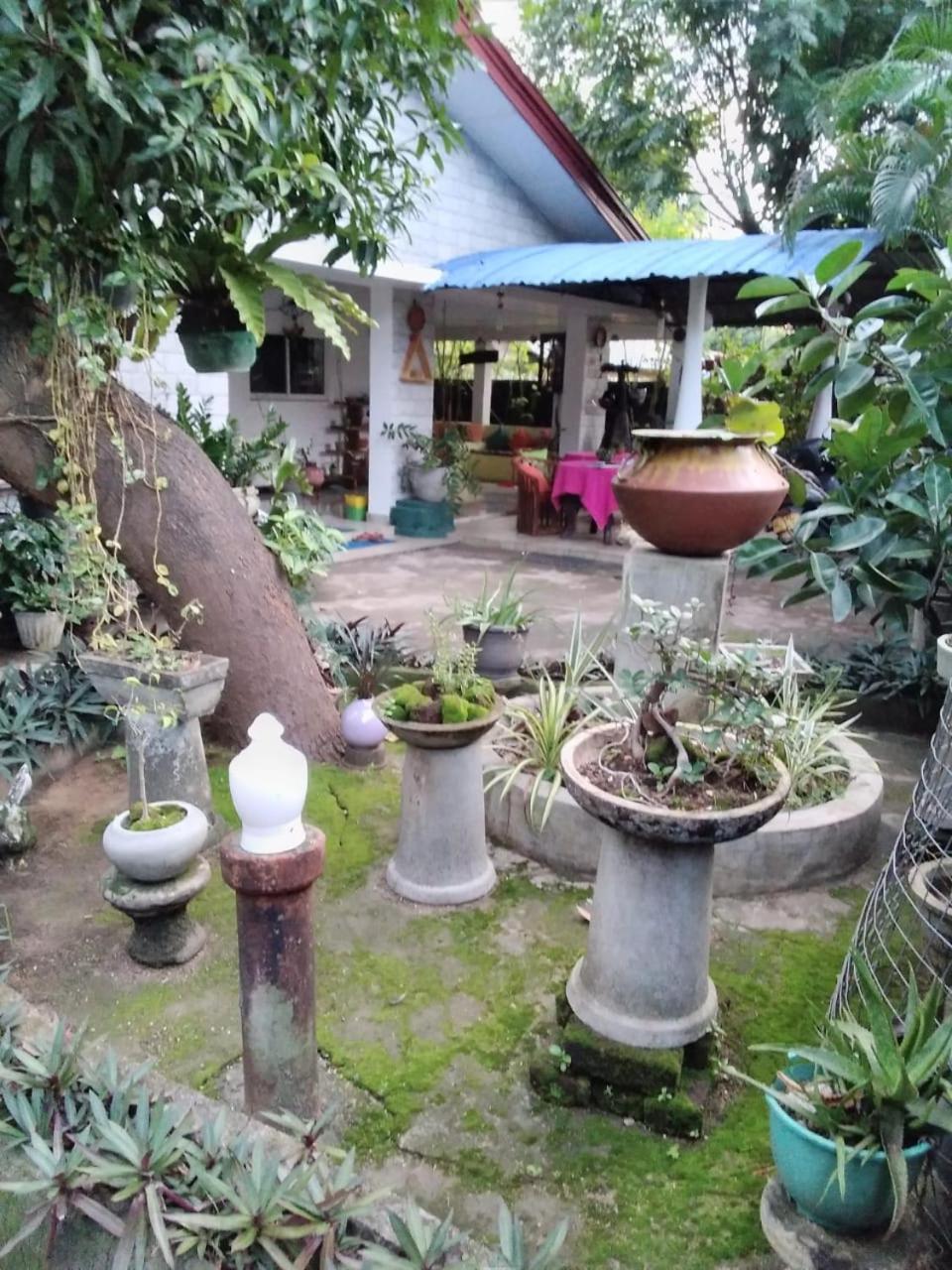 Rock Cascade Tourist Home & Cookery School Polonnaruwa Exterior photo